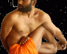 Йога демонстрации Swami Sudhir Yoga